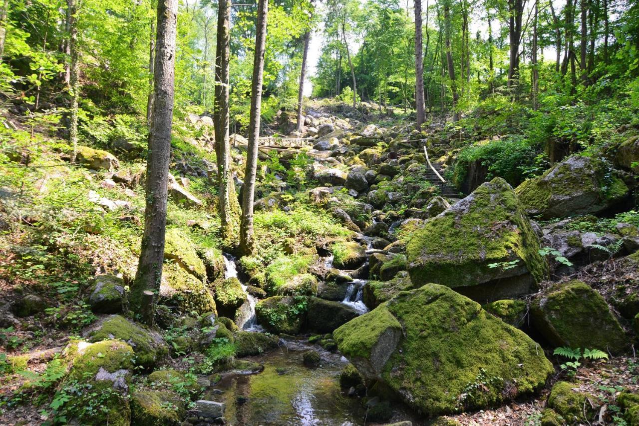 Relaxhotel Tannenhof Sasbachwalden Eksteriør billede